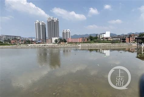 废弃鱼塘“活”了 重庆首个“水生态修复+面源污染防治”试点项目亮相_来凤