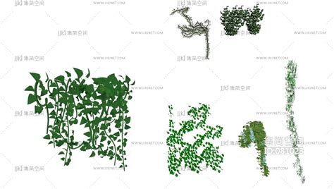 藤蔓 绿植 绿植墙组合su草图模型下载-【集简空间】「每日更新」