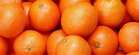 橙子寓意 - 业百科