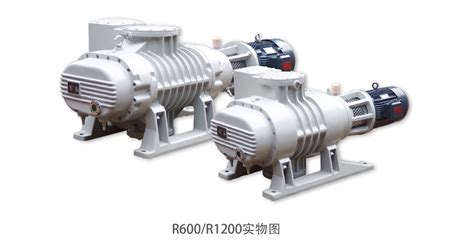 你知道真正影响罗茨真空泵工作效率的四大因素是什么吗？-新闻资讯-杭州新安江工业泵有限公司
