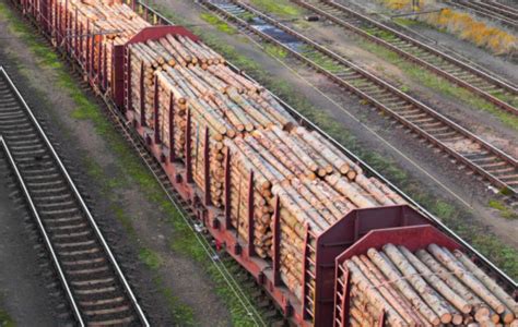 白俄罗斯木材和木制品出口已执行新的关税标准_行业新闻_资讯_整木网