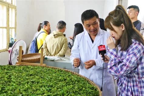 【茶泉双秀悠天下】全国媒体茶旅体验九江行：俯瞰庐山云雾茶场对话茶艺传承人-闽南网