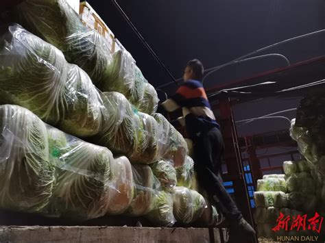 同心战疫，长沙海吉星48万斤蔬菜星夜驰援西安 - 长沙 - 新湖南