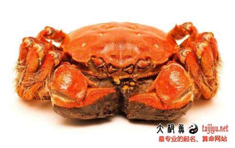 蒸螃蟹经常没有蟹黄，问了海鲜店老板后，才知道原来是自己做错了|蒸螃蟹|蟹黄|螃蟹_新浪新闻