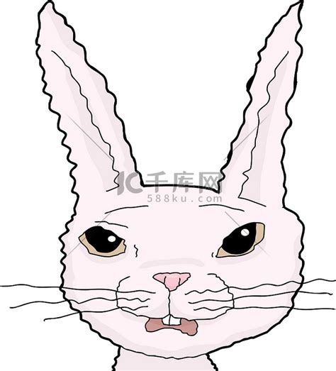 害怕的粉红兔子高清摄影大图-千库网