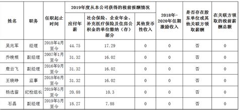 中国时代经济出版社有限公司负责人2019年度薪酬情况_审计署网站