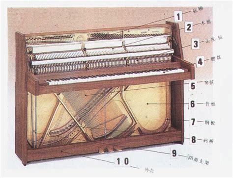 【绘画参考】三角钢琴的内外部结构的讲解（乐器参考）