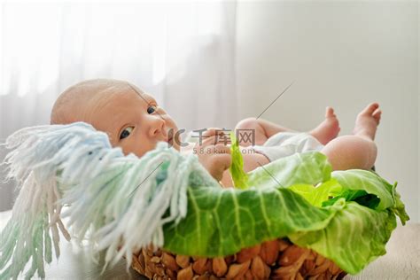 篮子里的新生男婴，尿布里的婴儿，卷心菜叶里的婴儿高清摄影大图-千库网