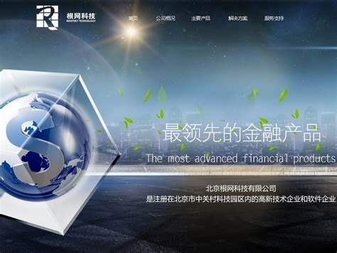 根网科技企业网站-设计方案_wangqiao910-站酷ZCOOL