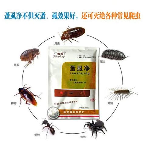 跳蚤对人类的健康有哪些危害以及家庭如何灭跳蚤_跳蚤-虫虫战队
