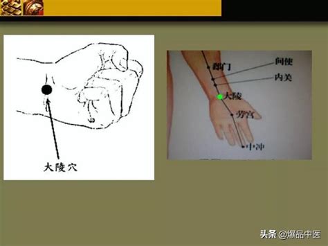 三焦经的准确位置图(2)_配图网