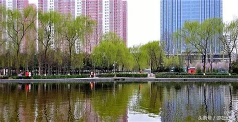 街心公园 - 市政工程 - 四川华庭建设有限公司