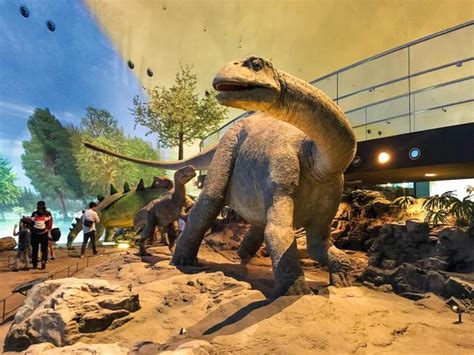 侏罗纪已过去亿万年，恐龙样貌如何被还原