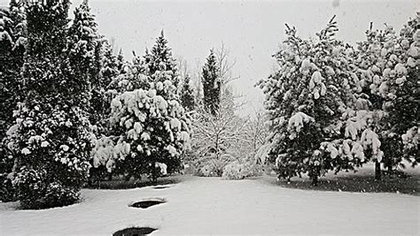 今年到川西旅拍，白雪皑皑的雪景婚纱照了解下，天赐的冰雪奇缘 - 知乎
