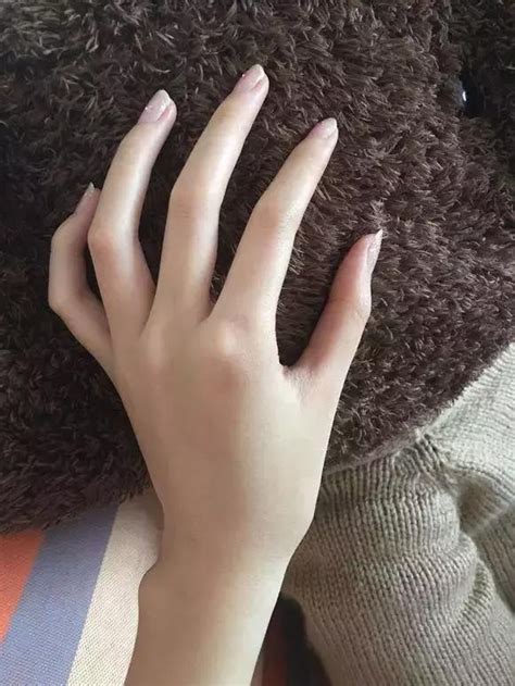 手照图片