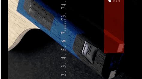 DHS红双喜天极506X乒乓底板 稳定控制强化速度5木2ac纤维 动品网