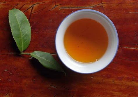 肉桂茶属于什么茶（正岩肉桂茶与大红袍有什么区别）- 茶文化网