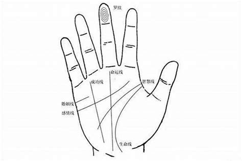 大拇指财富纹手相（手相财富线怎么看）_财运_若朴堂文化