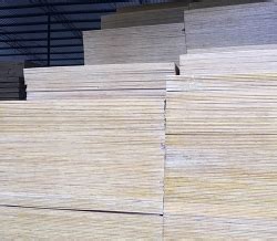 钢木组合柱模板及支撑体系_CO土木在线