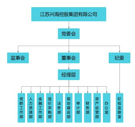 组织架构 - 走进兴海 - 江苏兴海控股集团有限公司