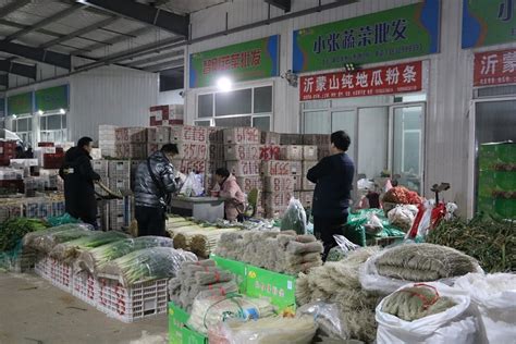 蔬菜专业市场 - 市场导航 - 青岛市城阳蔬菜水产品批发市场