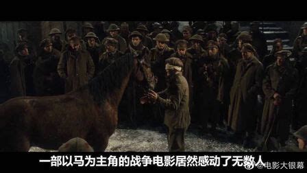 《战马》曝中文版预告 28日全国公映_娱乐频道_凤凰网