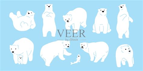 熊向量北极熊图标标志插图字符涂鸦白色插画图片素材_ID:318039634-Veer图库