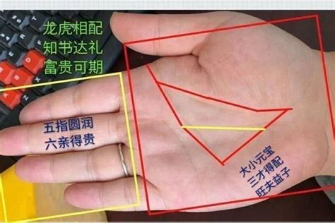 元宝纹手相图片