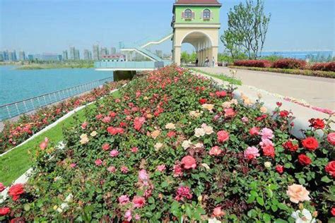 快看！合肥入围“2019中国最具幸福感城市”候选名单_安徽频道_凤凰网