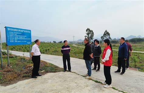 做好农业科技服务与示范，以评促建高质高效完成贺州市基层农技推广体系改革与建设补助项目_贺州_广西壮族自治区农业农村厅