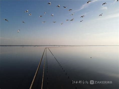 全球最美水上公路，一年只出现几次，全长5千米，就在中国江西！