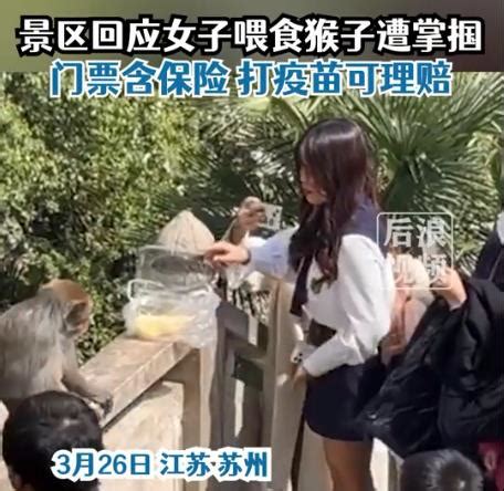 女子给猴子喂食被掌掴 景区这样回应 _城市_中国小康网
