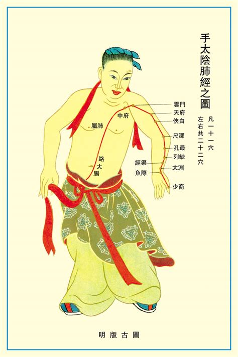 肺经经络图图片