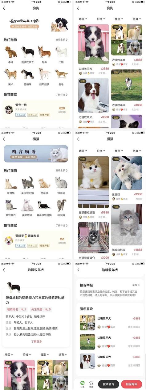 创新平台，共话未来 – 中国宠物网