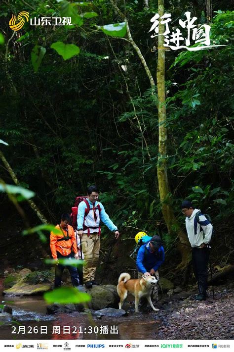 以自由装载对生活的热爱，挑战三小时内徒步八公里穿越雨林