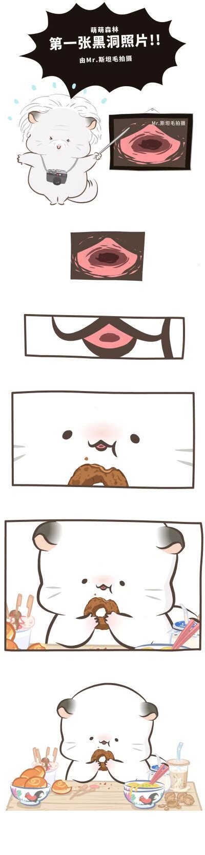 四毛和八毛图片