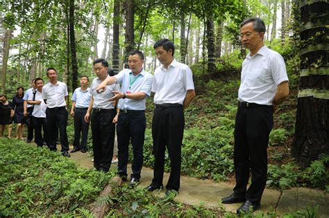 贵州省林业科学院网站