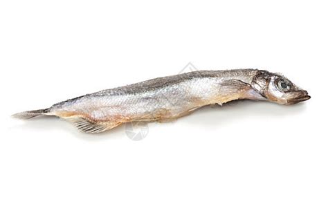 特写一个白色的沙丁鱼 上面有个小影子尾巴厨房饮食游泳海洋钓鱼午餐阴影眼睛食物高清图片下载-正版图片320991425-摄图网