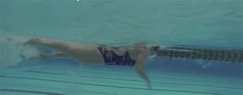 自由泳转肩技巧-百度经验