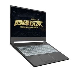 游戏笔记本电脑_火影 巅峰玩家 T5G 15.6英寸游戏本（i5-10200H、16GB、1TB、RTX3060、72%NTSC）多少钱-什么值得买