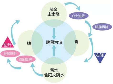 扶阳灸灸术篇：艾灸取穴三种方法论_艾灸百科