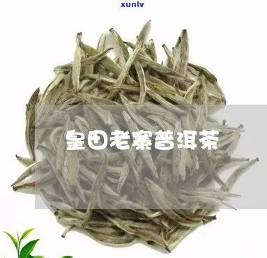 古树茶（2016）的图片_古树茶（2016）的简介-茶语网,当代茶文化推广者
