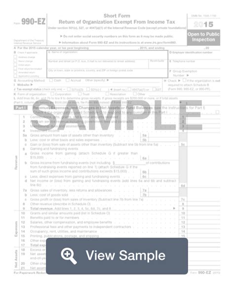 Fillable IRS Form 990-EZ | Printable PDF Sample | FormSwift