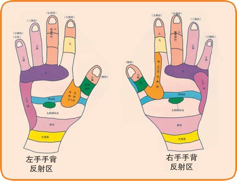 中医理疗手掌穴位素材图片免费下载-千库网