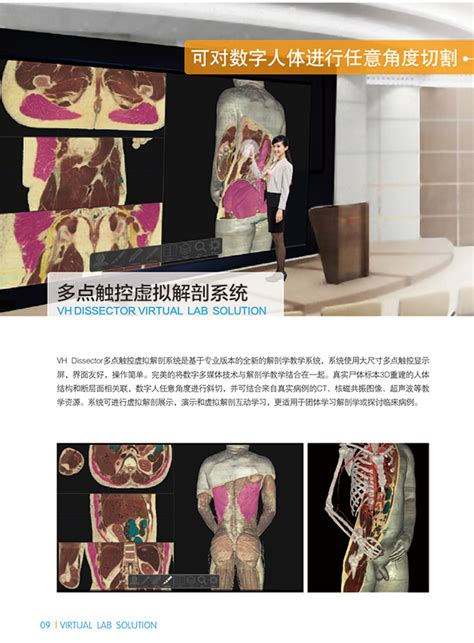 VH Dissector(VHD 5.2) VH Dissector可视化人体解剖学软件-运动科学实验室