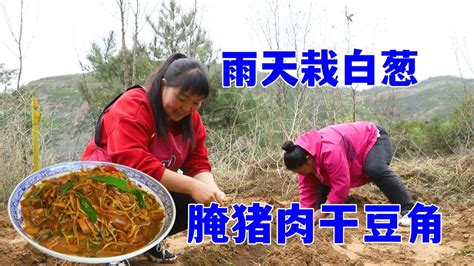 陕北特色腌猪肉，霞姐用干豆角和宽粉烩着吃，太下饭了！_腾讯视频