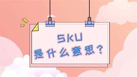 sku是什么意思 什么是sku_方舟网