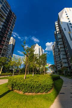 上海市长宁区人民政府-社区-加装电梯、精品小区建设、生境花园打造……天山路街道2023年实事项目出炉
