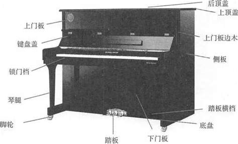 钢琴的5种基本演奏指法讲解，超级简单明了_手指