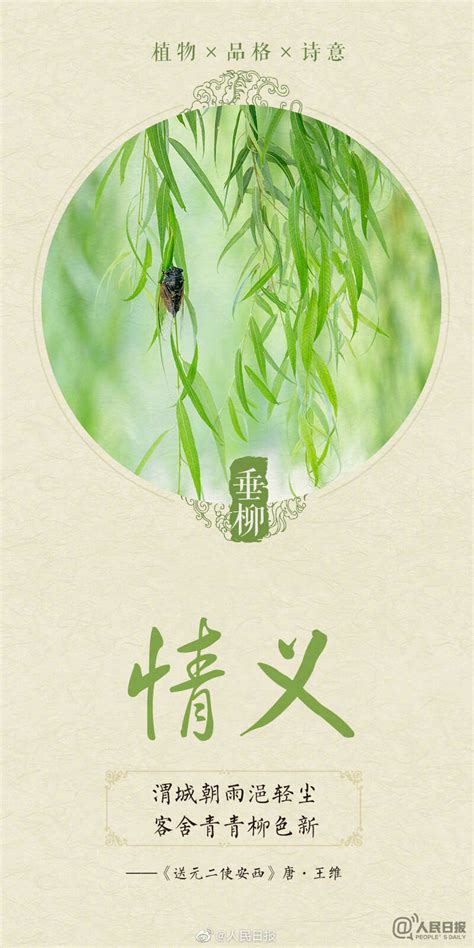诗意满满！今天植树节，感受植物中的中国式浪漫 - 江安融媒 - 几生修得住江安